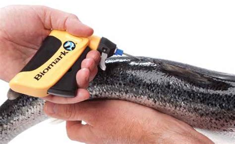 rfid tag yo track a boat|fish tagging technology.